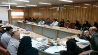 برگزاری کارگاه آموزشی - مشورتی آئین نامه جدید اجرایی ماده 13 و نحوه رسیدگی به تخلفات بهداشتی واحد های صنفی